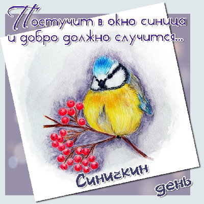  !     🐦