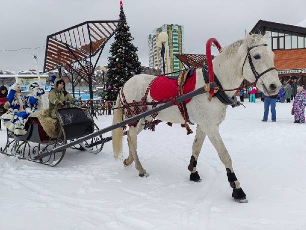 ������������ ������� �� ����� ������� ������ 