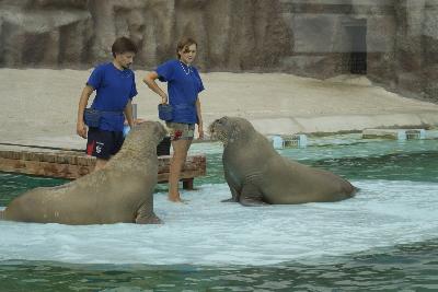 � ����������� ����� ������������� ����, � ��� ����� � ����� ����������!