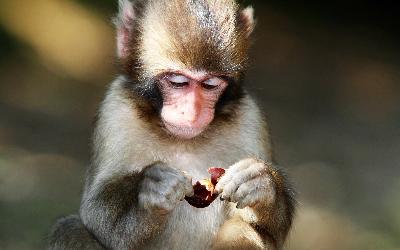 ��� ������ ������������� ��������� � �������� ��������! 