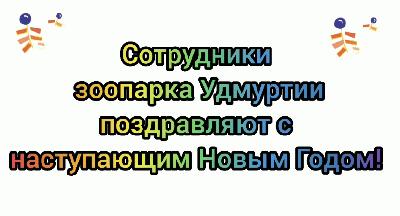 ��������� �������� �������� ����������� � ����������� ����� ����� � ��� �����������!🐯