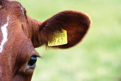 ���������� �������� ���������� � ������� � ����� � ������� 2021 ����! 