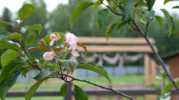 ������� - ��������� �����!