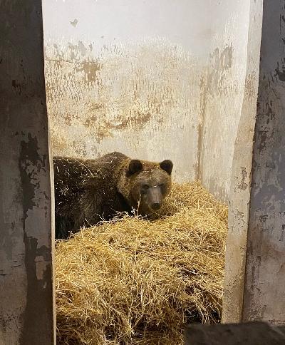 ���� ������� �������� � ���� �����! ������� �������� ��������, ����� ������� ���� ������������ ������� � ��������� � ������. 