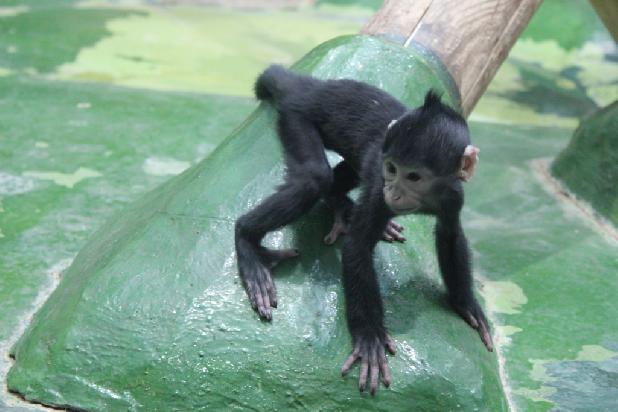 ��, � ��� ���?