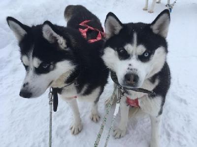 ������� �� ����� � ��������!