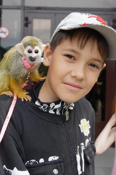 ����������� � ��� ������ �����������, ��������, ������...� � ����� �������, ������������ ��������.