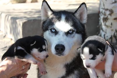 ��������� � ���������� 👇🏻