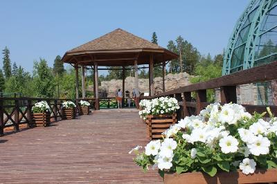 ���� ������