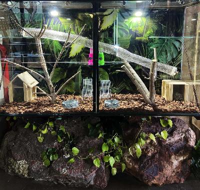 ����� ���������