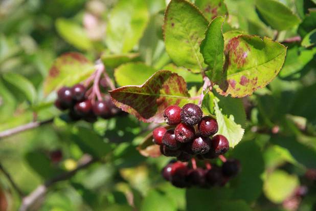 �������� ������� �����!