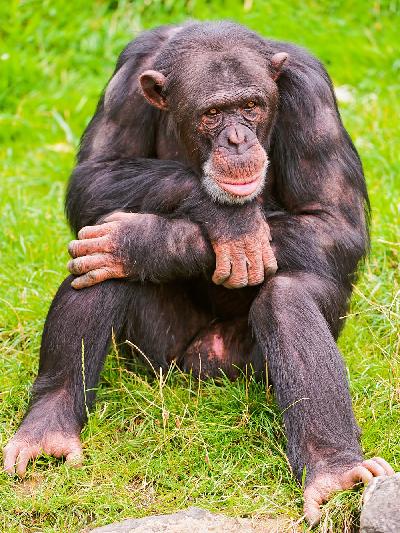 ��������� ��������