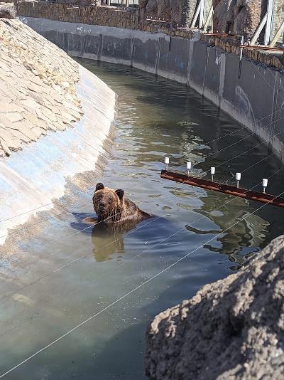 �� ����� +30� � ������� ������! 