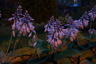 ���� � �������� ��� �������!