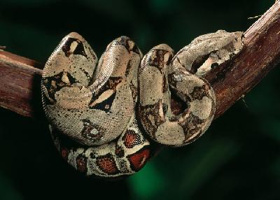 ������������ ����