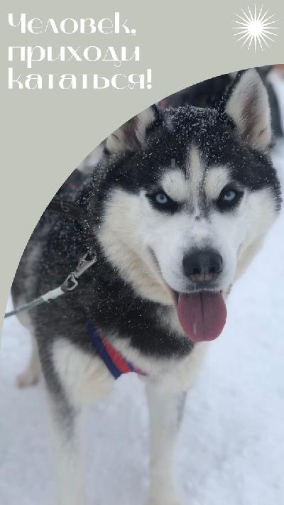 ������� ����� ������ � ��������! �� ������ �����, ��� ��� ���� ����� ���� �����������😊