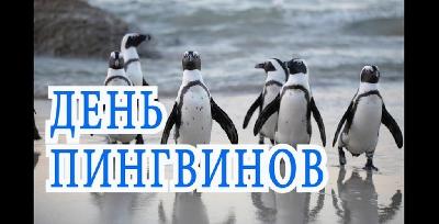 ���� �������� � ��������