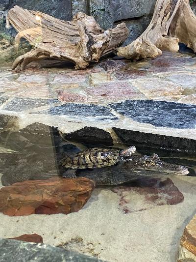 � ��������� ������ ��� ������� �����������!👍��