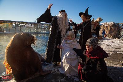 ������ ����� � ������ �� ���!