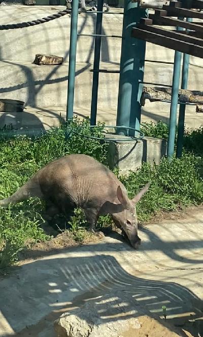 ��� �������� �� ����� �����! 