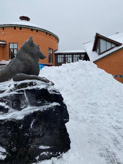      ,  !❄
