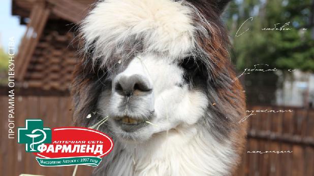 ������, �� ���� ��������, ��� � ����� ������� �� ����� ������ �������� ����� ����! 