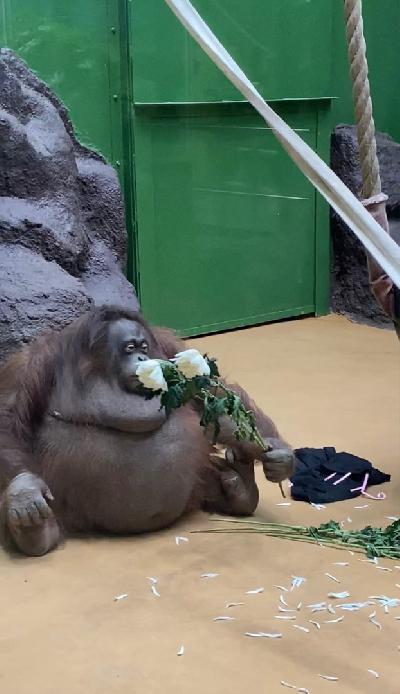 �����-���� �����!