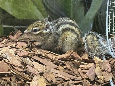 ��� � ���� ������! 