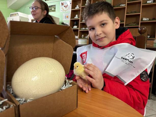 �������� � �������� - ��� �������? ��!