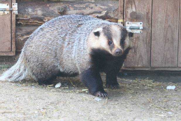 ����� ������������!