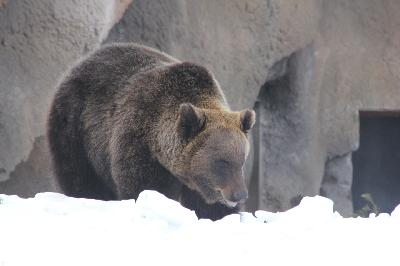 ����� � ����� �����������! 