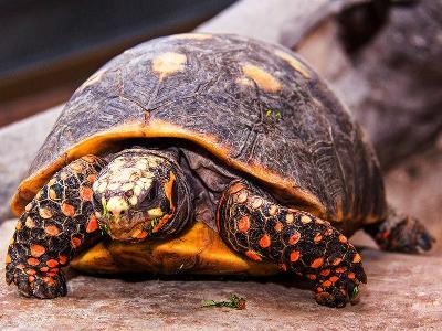 � �������� �������� ������� ���������� ����, � ������� ����� ��������� ���.