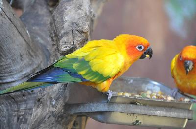 ��������� �������� ��� ������ � ��������������