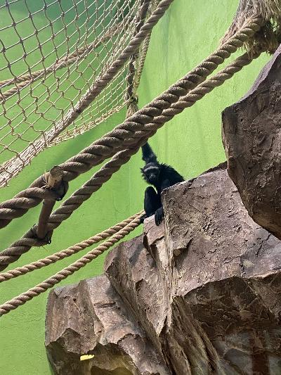 �������� ��������� ������ ������� - ���������� �������!