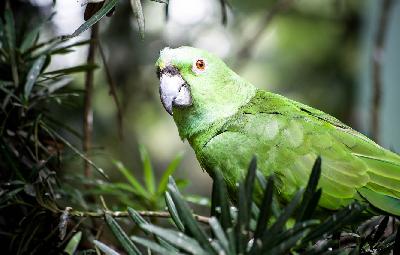 ��������� ����������� �������💚💛