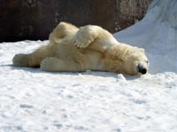 ������� � ����� ��������, ��� ����!� ��� ���������� ������� �� ����� ��������