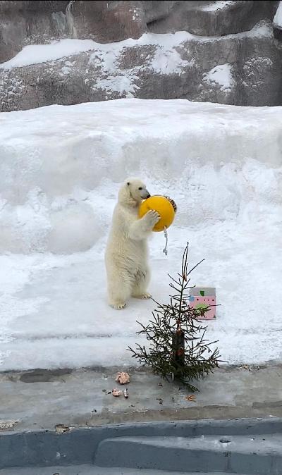 ������� �������� ����� �������!