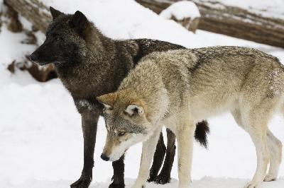 ���������� �� ����� ������