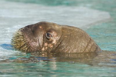 ��������� �������� �������� �� ������ � �������� �����!🌊