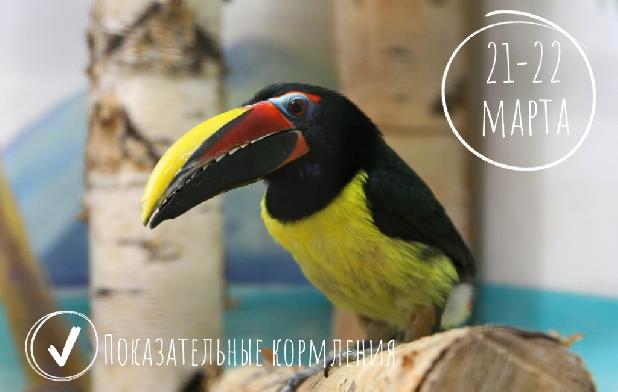 ������������� ���������