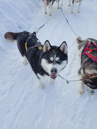 ������� � �������