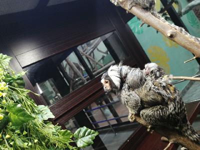 3 - ��������� �����, ������� �������� �����!