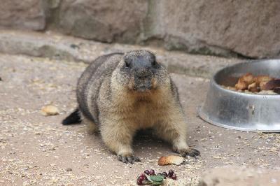 2 ������� � ���� �����!