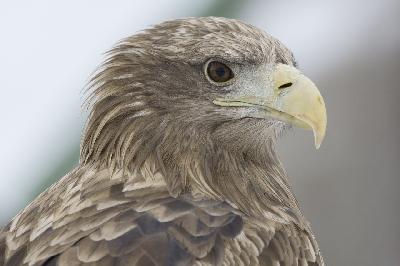 ������ � ����� �������� ��������! ������ �������� �������� �� ��������� ���� ��������� �������� ������ � �������.