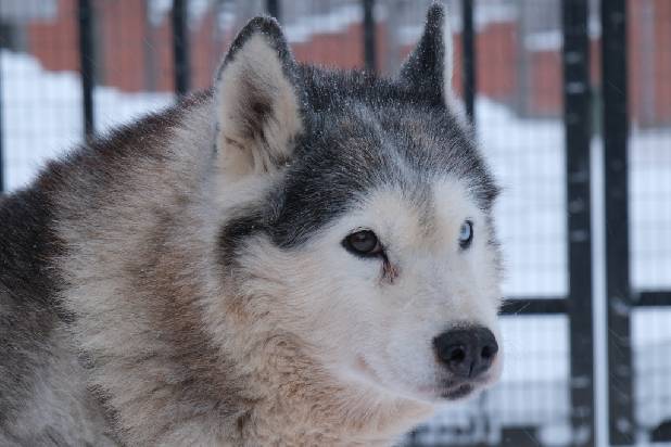 � ����� ��� ���� ��������!