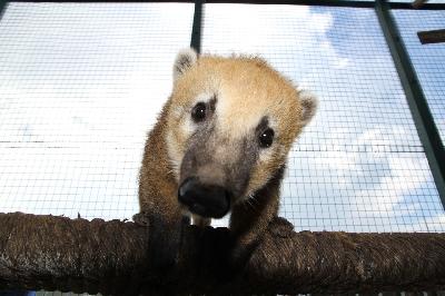 ���� ��� ����? ��� �� �� ����� ���� ������� � ����� �� �������� �������� ��������?