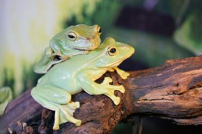 ����� ������� � ������� �� ���������