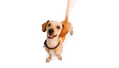 ������� ����� ������ � ��������� ��������!