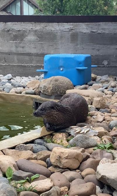 ���� ������� �� ����� ���������, �� ������ ����������� ?