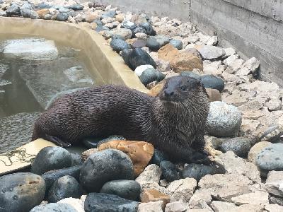 ����� �������� ������� ���� ��������� �����